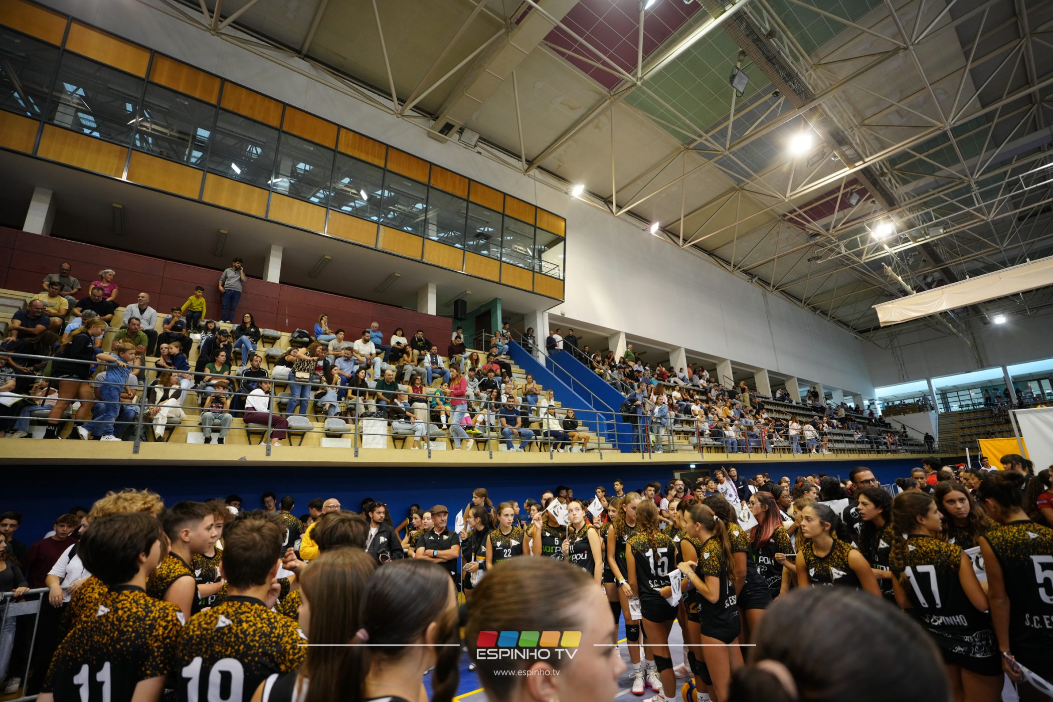 Imagem 6