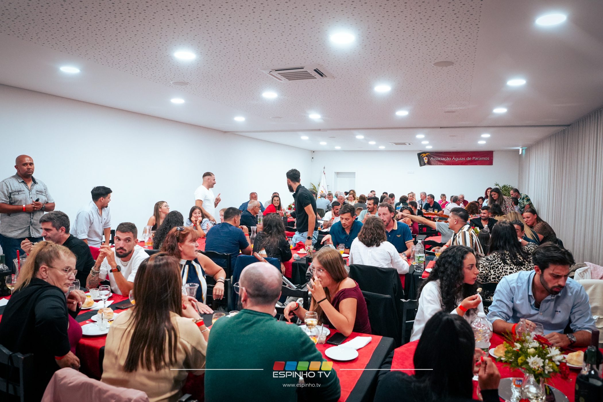 Imagem 7