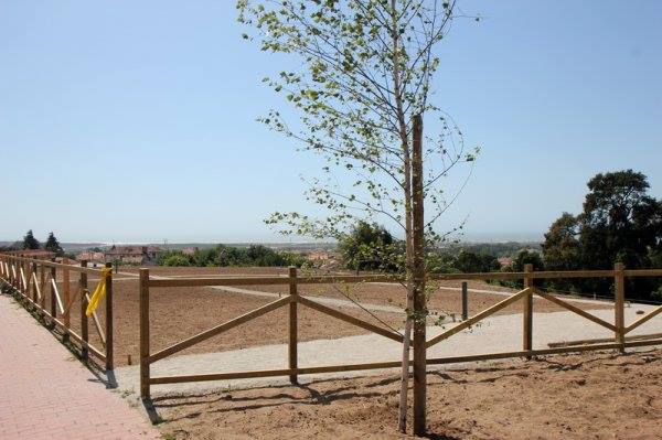 Inaugurada horta comunitária em Paramos Inaugurada horta comunitária em Paramos