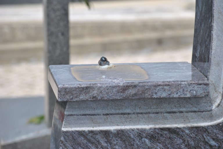 Cemitério de Silvalde assaltado durante a noite