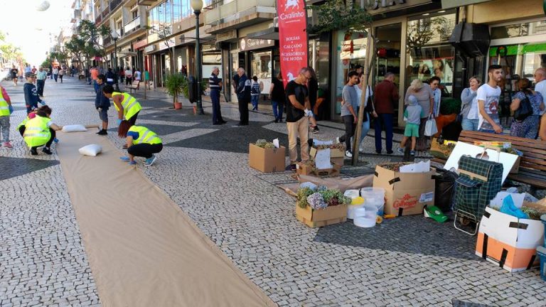 Tapetes de Nª Srª d’Ajuda já começaram a ser construidos