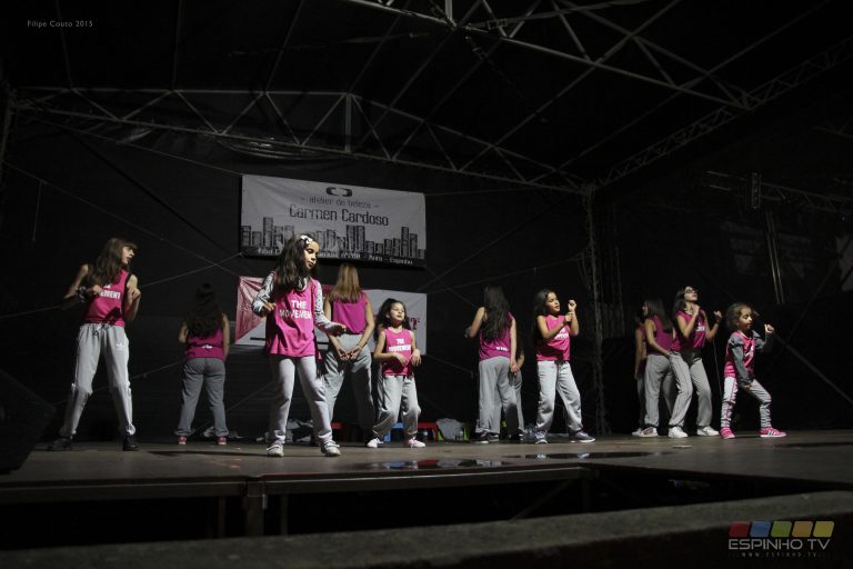 Festa de Nª Srª dos Altos-Céus em Anta – Fotos dia 17