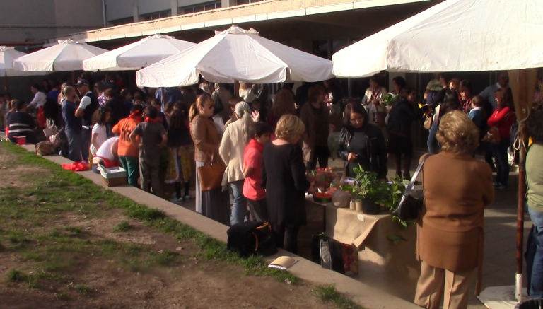 1ª Feira de Outono na EB1 Espinho 2
