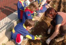 Horta Pedagógica na creche “O Portugal dos Pequeninos II”