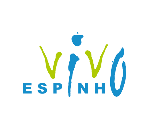 Espinho promove programa CLDS 3G