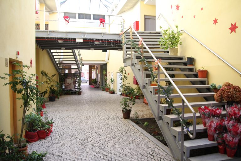 Segurança Social e IEFP no Mercado Municipal: a opinião dos interessados