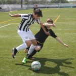 IMG_1231