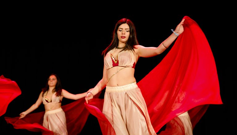 Noite de sucesso com “Cada Qual com a sua Arte”