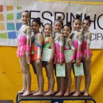 ginastica_aae