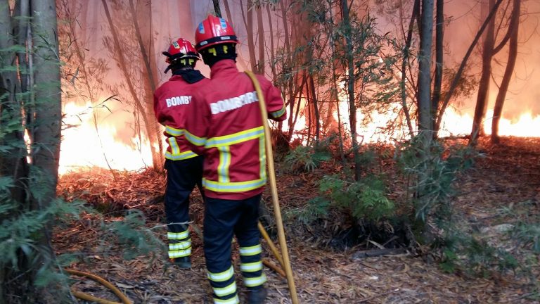 Chamas assustam no concelho da Feira