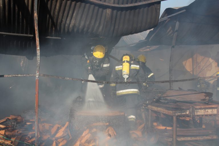 Incêndio em corticeira provoca dois feridos Incêndio em corticeira provoca dois feridos