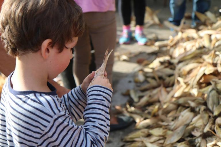 Desfolhada na Associação de Moradores da Idanha