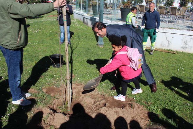 Plantadas 12 árvores no Parque João de Deus