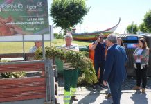 Silvalde aderiu à recolha de resíduos verdes