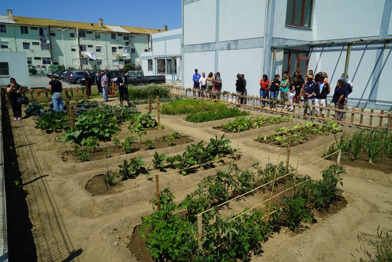ADCE inaugura Horta Biológica