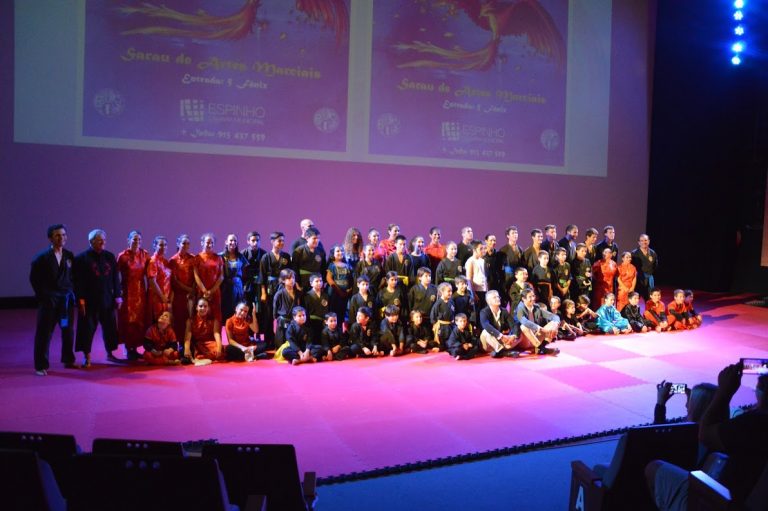 APAM realizou espetáculo de Artes Marciais no Multimeios