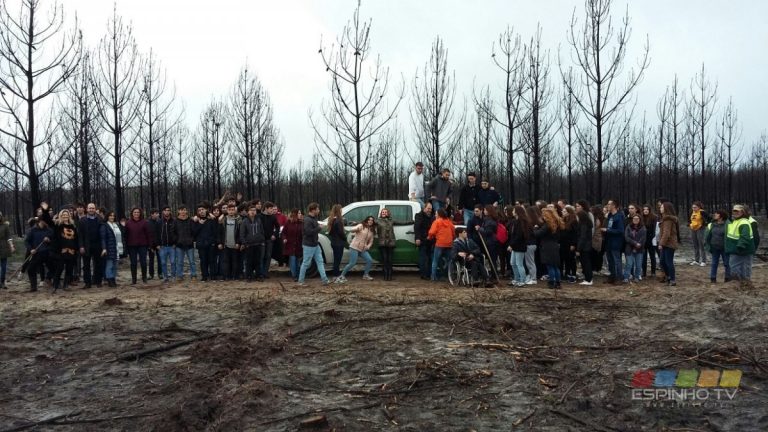 Alunos da AEMGA plantaram 1130 Árvores no Pinhal de Leiria