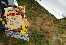 Serviço educativo da autarquia levou atividades plásticas ao evento de Serralves