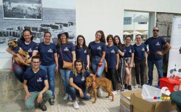 Iniciativa solidária da Patinhas Sem Lar