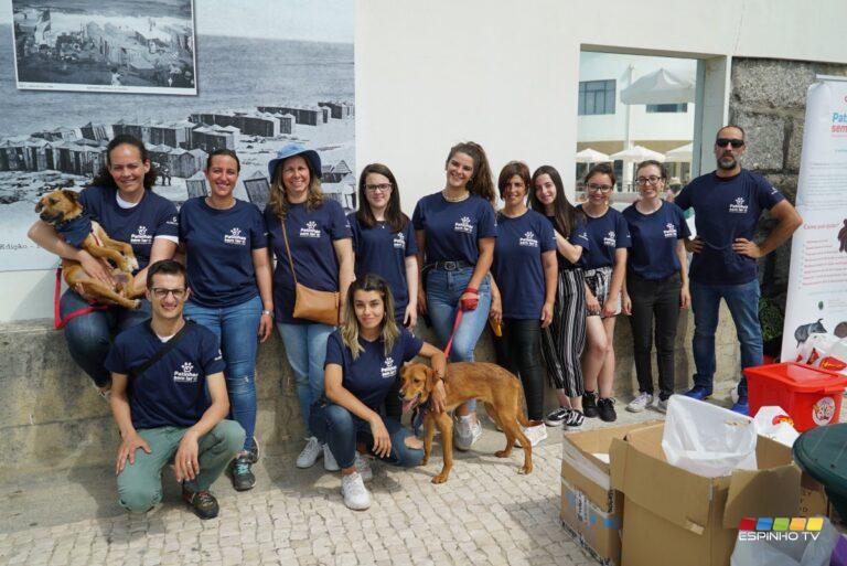 Iniciativa solidária da Patinhas Sem Lar Iniciativa solidária da Patinhas Sem Lar