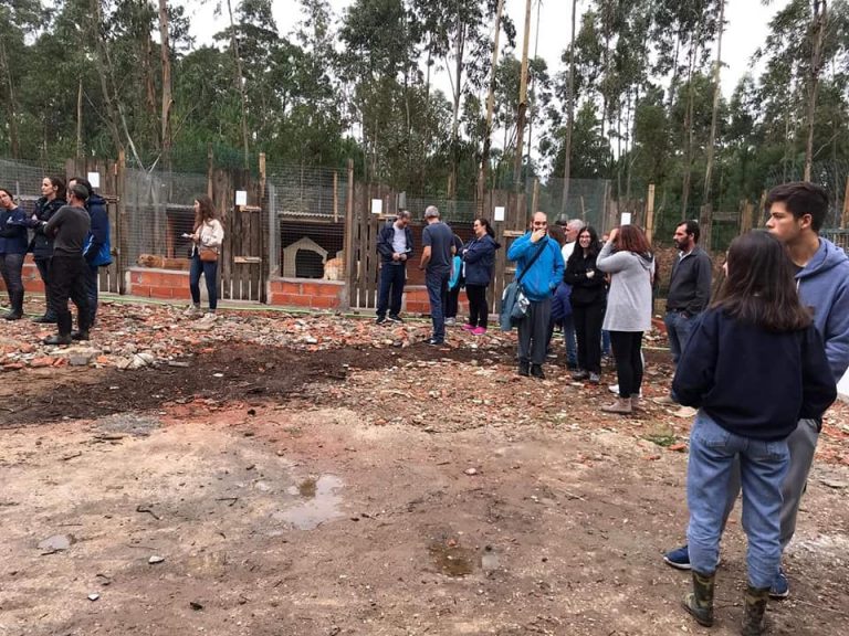 “Patinhas Sem Lar” com nova casa mas ajuda é sempre necessária “Patinhas Sem Lar” com nova casa mas ajuda é sempre necessária
