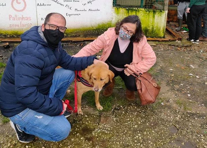 Patinhas Sem Lar encontra cadela desaparecida há 8 anos