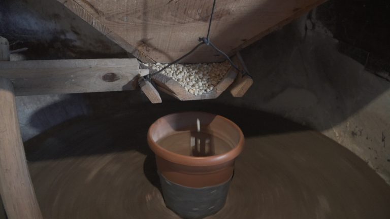 Dia Nacional dos Moinhos – “Moinho do Gavião” – Anta Dia Nacional dos Moinhos – “Moinho do Gavião” – Anta