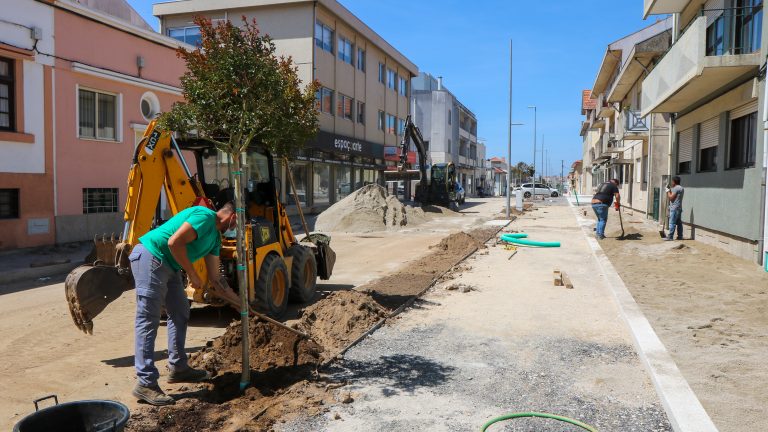 Requalificação da Rua 20 – Inicio da plantação de árvores