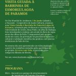 dia_ambiente