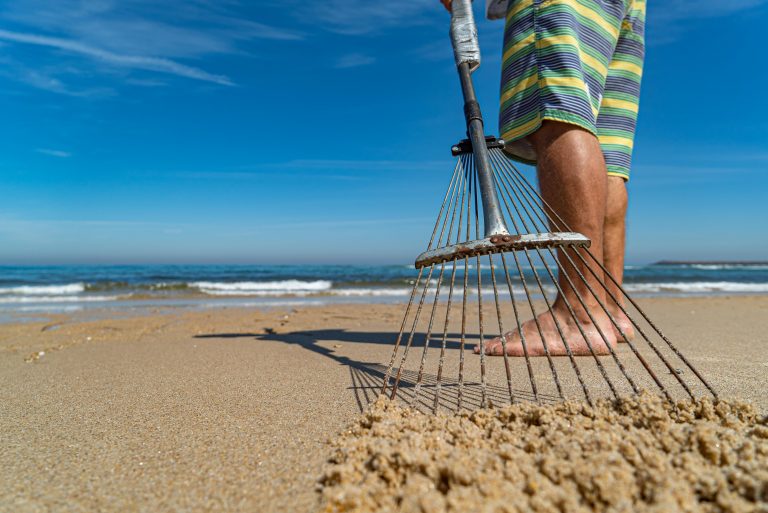 Desenho na Paisagem – Workshop Desenho na Paisagem – Workshop