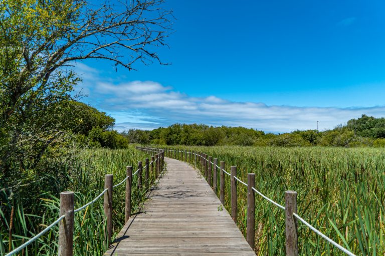 Visita à empreitada de Requalificação e Valorização da Barrinha de Esmoriz/ Lagoa de Paramos