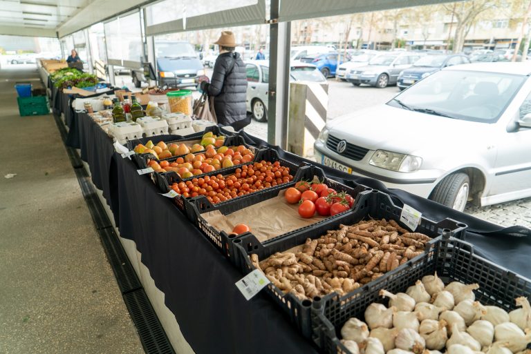 Feira de Produtos Biológicos de Espinho voltou