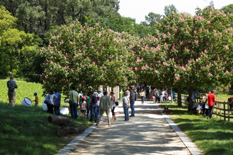 Município de Espinho leva até Serralves uma oficina Município de Espinho leva até Serralves uma oficina