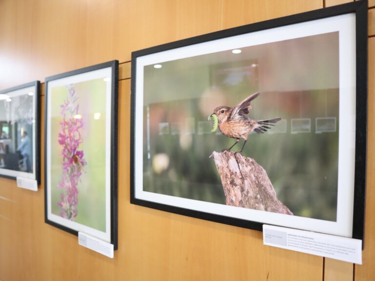 Exposição “Biodiversidade no Concelho de Espinho” Exposição “Biodiversidade no Concelho de Espinho”