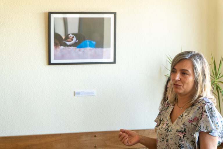 Inaugurada em Anta exposição “Biodiversidade no Concelho de Espinho”