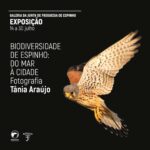 expo_tania