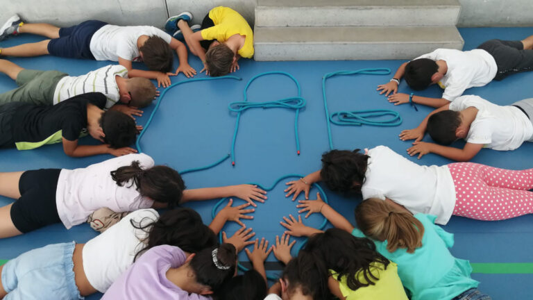 Novas Normas Internas de organização e funcionamento da AAAF e da CAF Novas Normas Internas de organização e funcionamento da AAAF e da CAF