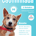 Caominhada22