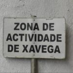 ESPETACULO_vareiro