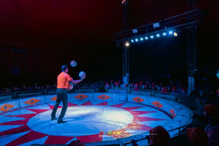 Câmara Municipal de Espinho levou crianças ao Circo