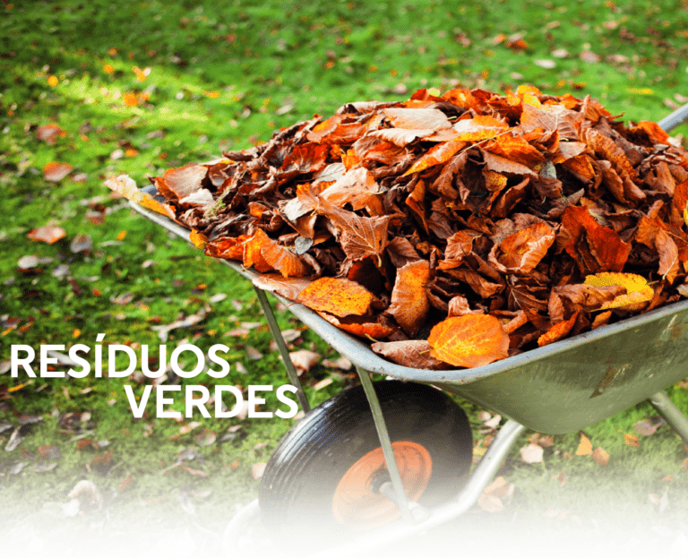 Recolha de resíduos verdes em Silvalde e Paramos