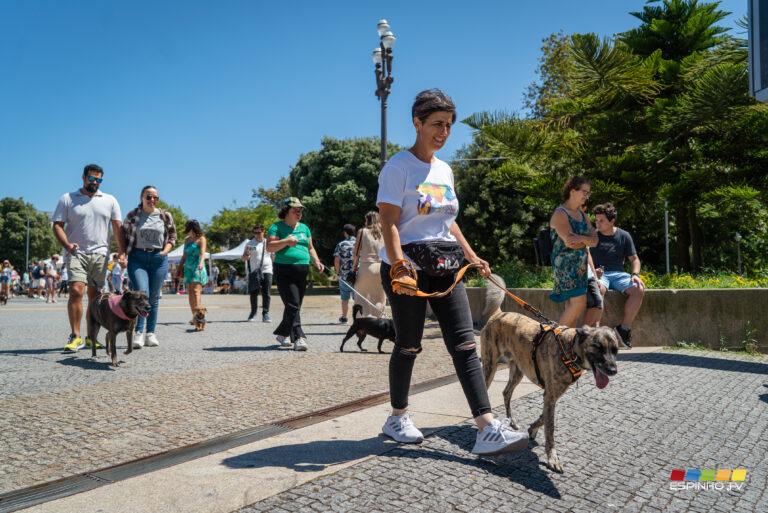 PetFestival reúne amantes dos animais em Espinho PetFestival reúne amantes dos animais em Espinho