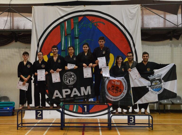 Torneio de Viet-Vo-Dao – Mestre Tran Huu Ha Torneio de Viet-Vo-Dao – Mestre Tran Huu Ha