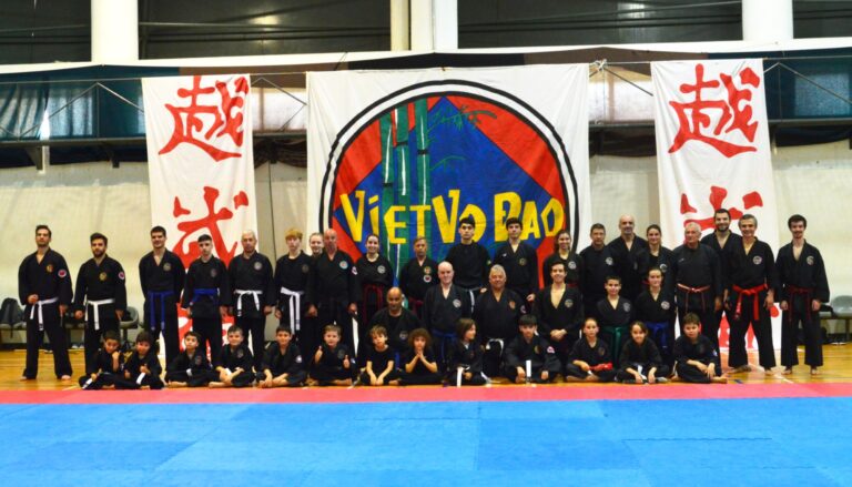 Estágio técnico de artes marciais Vietnamitas em Espinho