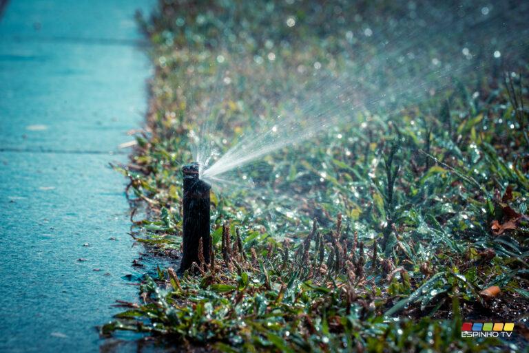 Reparação dos sistemas de rega no RECAFE / Alameda 8 em curso