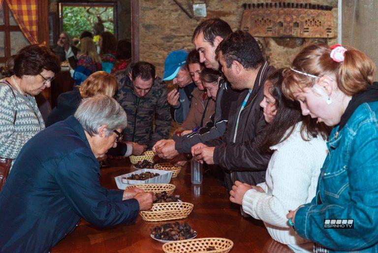 Magusto na Associação de Moradores da Idanha