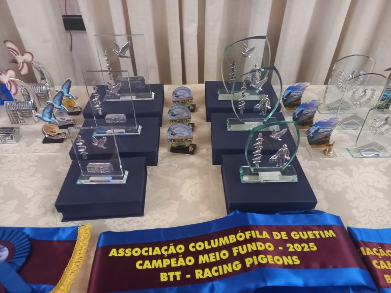 Sociedade Columbófila de Guetim: BTT-Racing Pigeons foi o Campeão da campanha desportiva 2025