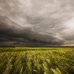 Tempestades: CCDR NORTE disponibiliza formulário para declaração de prejuízos agrícolas