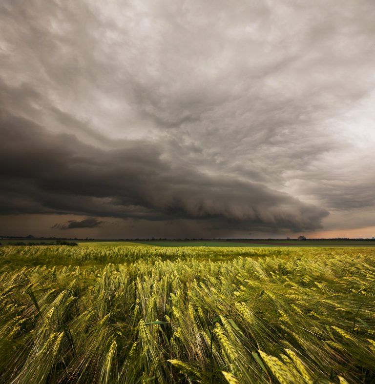 Tempestades: CCDR NORTE disponibiliza formulário para declaração de prejuízos agrícolas