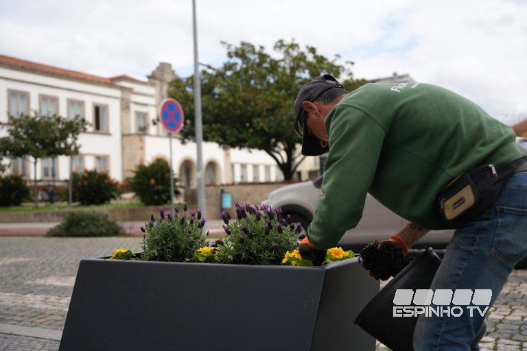 Espinho continua a reforçar o cuidado com jardins e floreiras
